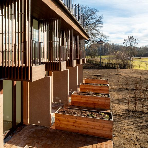 Garten mit Beplanzung